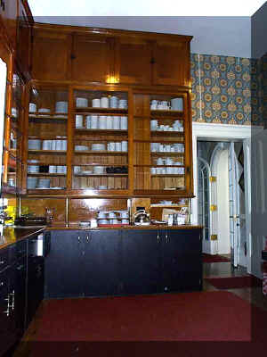 Butler_Pantry_Cabinet.jpg (45630 bytes)